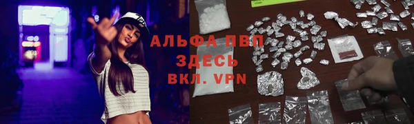 прущий лед Аркадак
