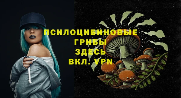гидра Армянск